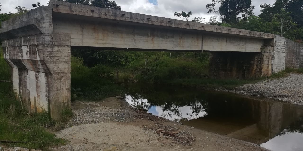 Elefentes blanco – rio quito